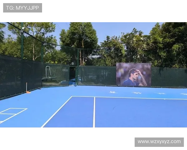 全方位解析网球运动关键安全与技术要点及实用注意事项全能进阶指南